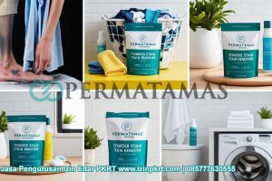 Apa Itu Stain Remover