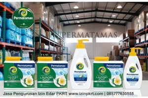 Cara Memulai Bisnis Sabun Cuci