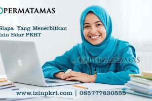 Siapa yang Menerbitkan Izin Edar PKRT