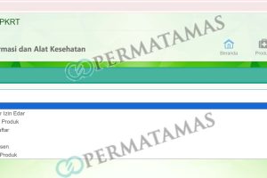 Cara Cek Kemenkes RI PKD