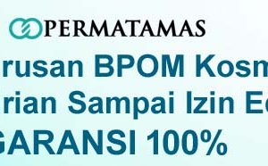 Biro Jasa Izin Edar PKRT Kemenkes Resmi | Legalitas Produk Terjamin